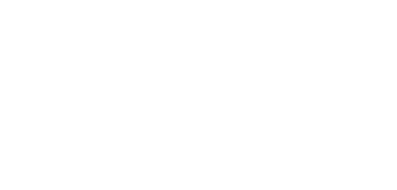 Revenue